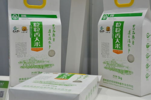 連天下 優(yōu)質(zhì)農(nóng)產(chǎn)品 南京展銷會(huì)盛大開幕，南京竹石引領(lǐng)綠色消費(fèi)新風(fēng)尚