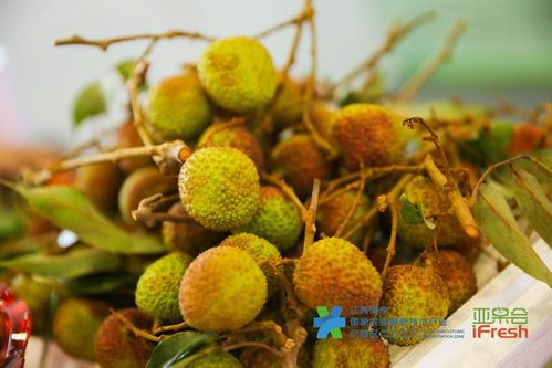 望都都南優(yōu)享農(nóng)產(chǎn)品亮相南京 竹石文化節(jié)上展風(fēng)采